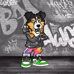 Australian Shepherd 2257