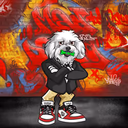 Bichon Frise 0032