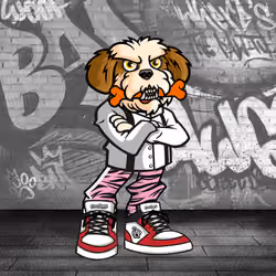 Shih Tzu 1355