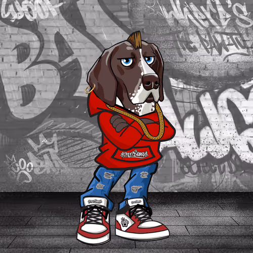 Thestreetdawgs