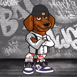 Dachshund 0063