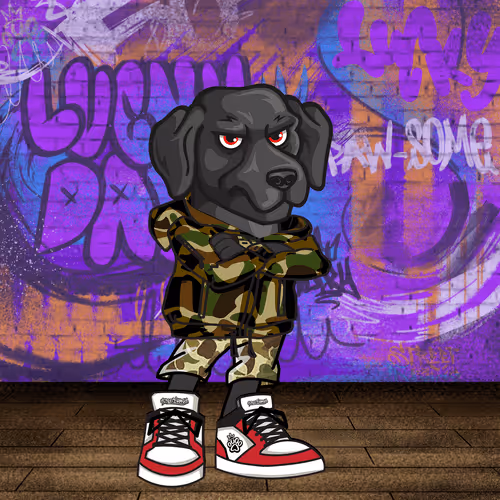 Thestreetdawgs