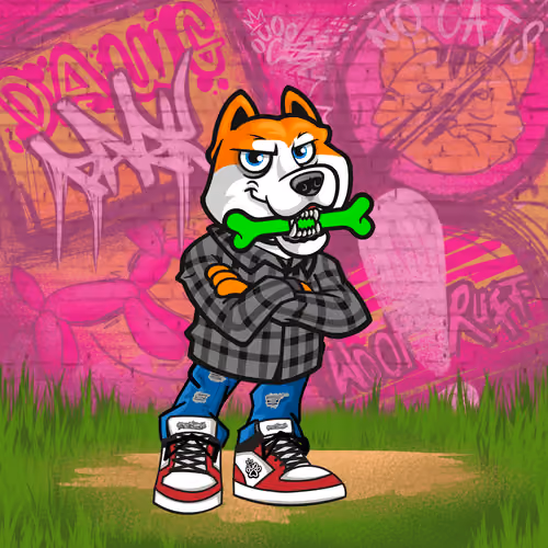 Akita 0354