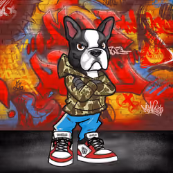 Boston Terrier 2357