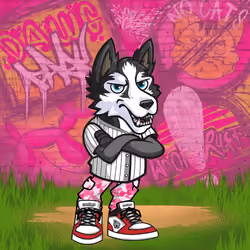 Siberian Husky 1250