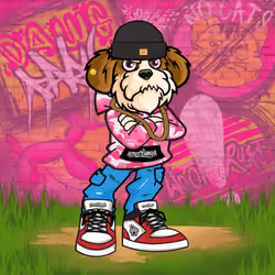 Shih Tzu 0409