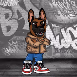 Belgian Malinois 0126