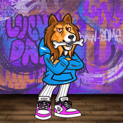 Shetland Sheepdog 0166