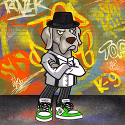 Weimaraner 0342