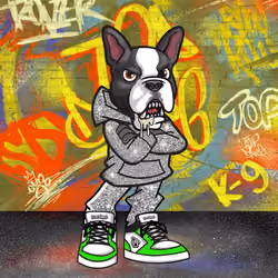 Boston Terrier 2249