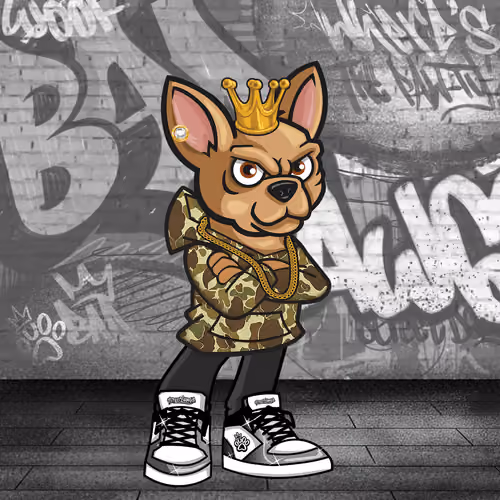 Chihuahua 0799