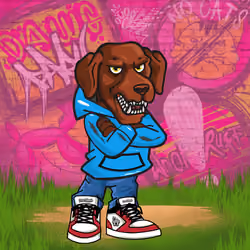 Chocolate Labrador 1730