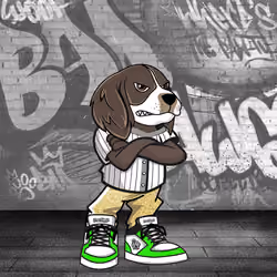 English Springer Spaniel 0053