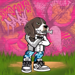 English Springer Spaniel 2654