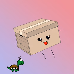 Box #323