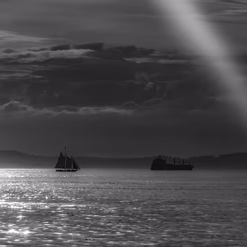 Set Sail Ghvtd4j32o