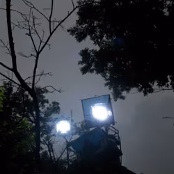 Beneath the Roses, 2003-2008 [Forest Clearing Bundle] Production Still [No. 3]