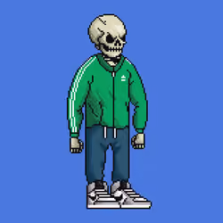 Skull'edz #6411