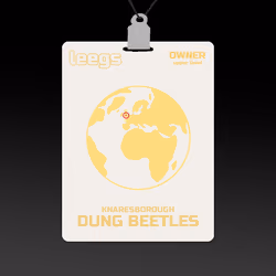 Knaresborough Dung Beetles
