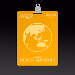 Beijing Black Mambas