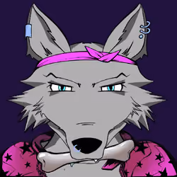 WolfAlpha #137