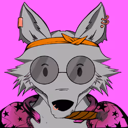 WolfAlpha #206