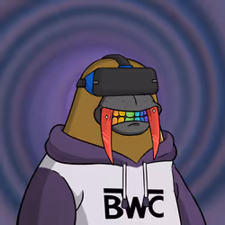 1429
