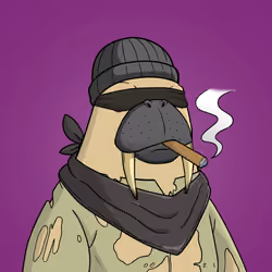 #653