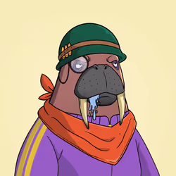 585