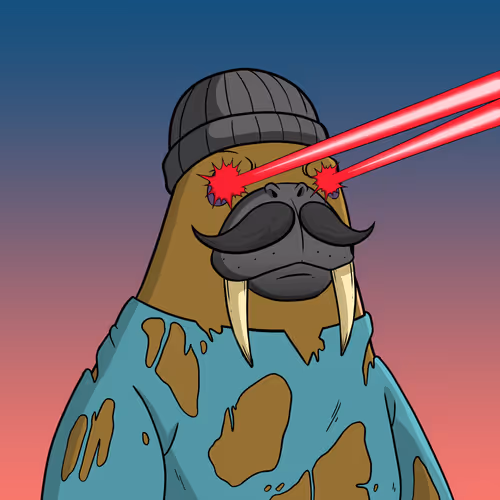 Bwc2d