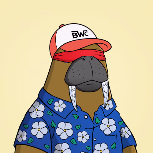 Bwc2d