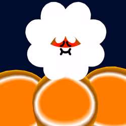 20505201131610511000211