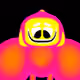 20304204021315100020000