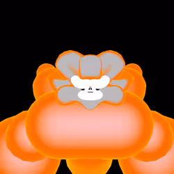 Shuno 49