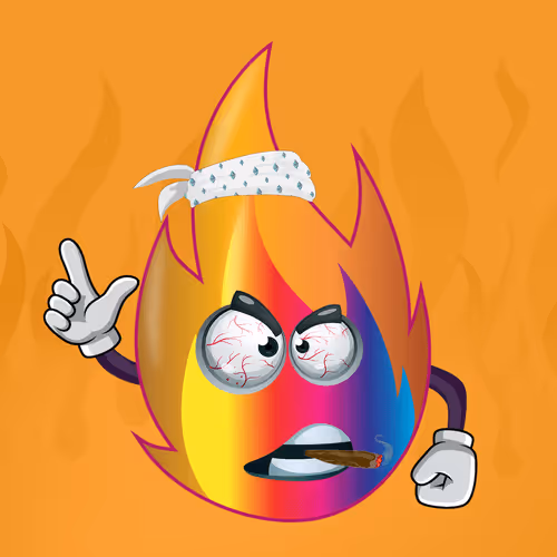 FLAME 494