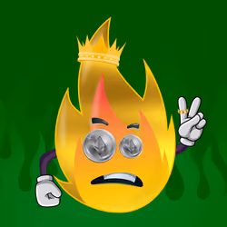 FLAME 479