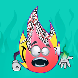 FLAME 12