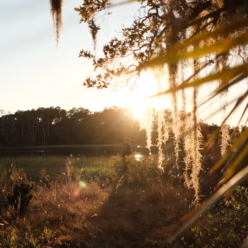 sunrise, sunset