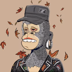 Lady Y00ts Ape #116