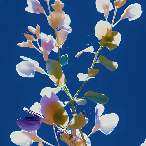 Once Upon A Garden By Linda Dounia Rebeiz