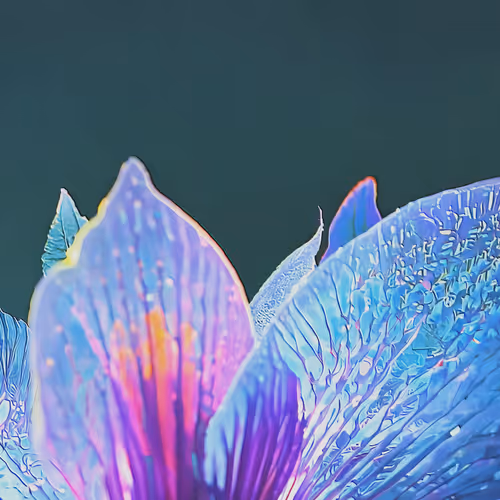 Once Upon A Garden By Linda Dounia Rebeiz