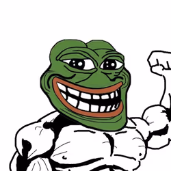 646