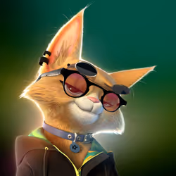 816