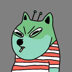 acdogeclub #2324
