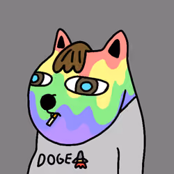 acdogeclub #7512