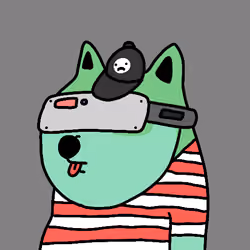 acdogeclub #2824