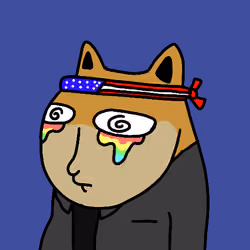 acdogeclub #6092