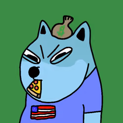 acdogeclub #2325