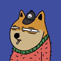 acdogeclub #2328