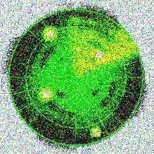World radar